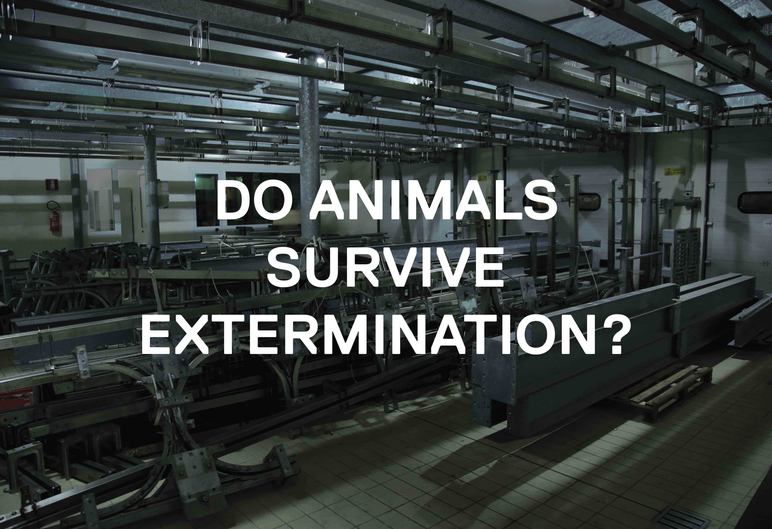 Do Animals...? 