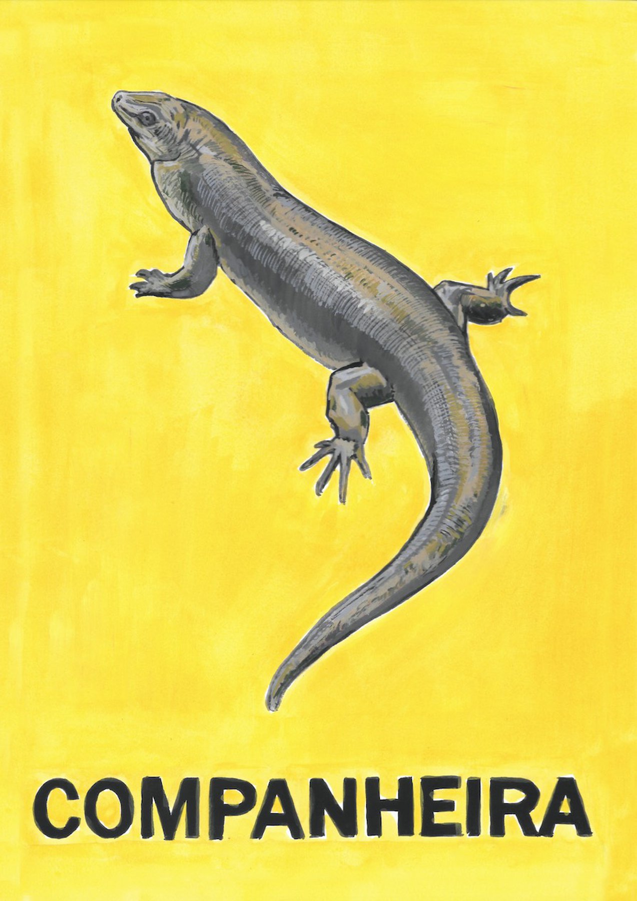 Comrades in Extinction, Tonga Ground Skink (Portuguese)