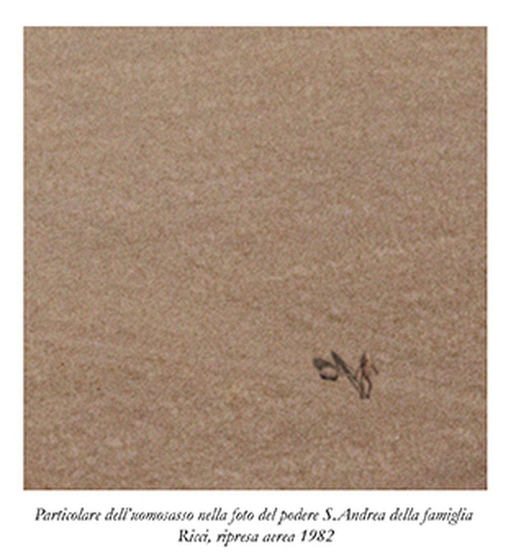 Da buio a buio, L'uomo sasso(Casa famiglia Bigiarini), 2009 c-print 50 × 70 cm