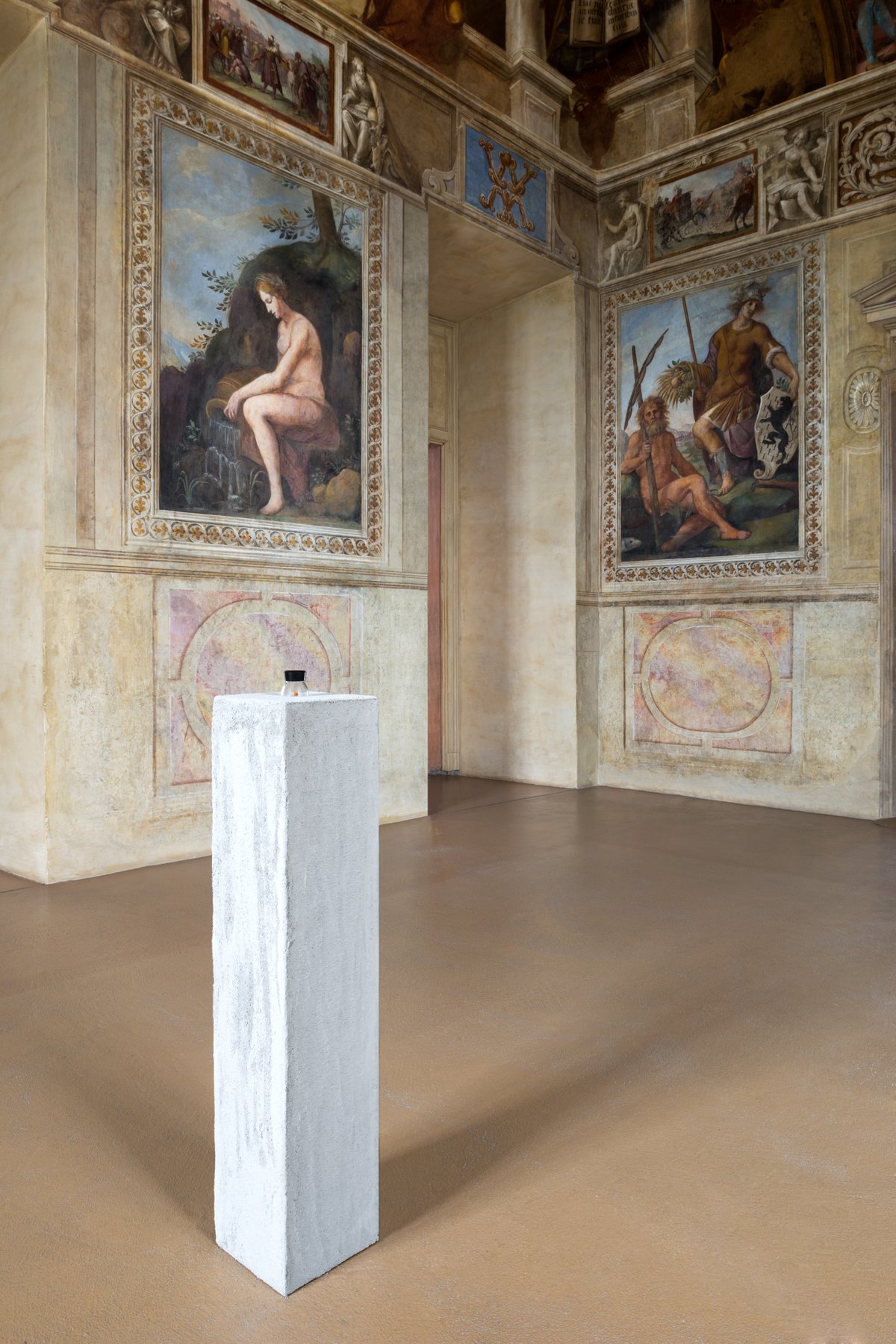 The Squirrel’s Revenge, 2015 seed, concrete plinth  and framed photo (62x41cm), installation view at castello di Rivoli, 2015