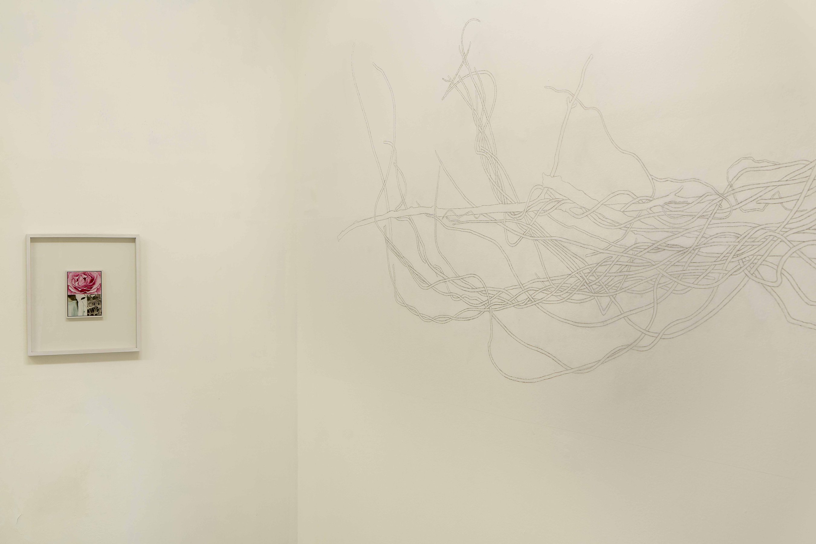 Giovanni De Lazzari, Nel passato di un’idea, installation view at Laveronica arte contemporanea, 2021