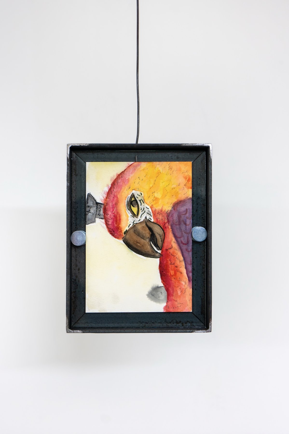 Long Live Gaza, installtion view, Malak Mattar solo show 2025, courtsey the artist and Laveronica arte contemporanea