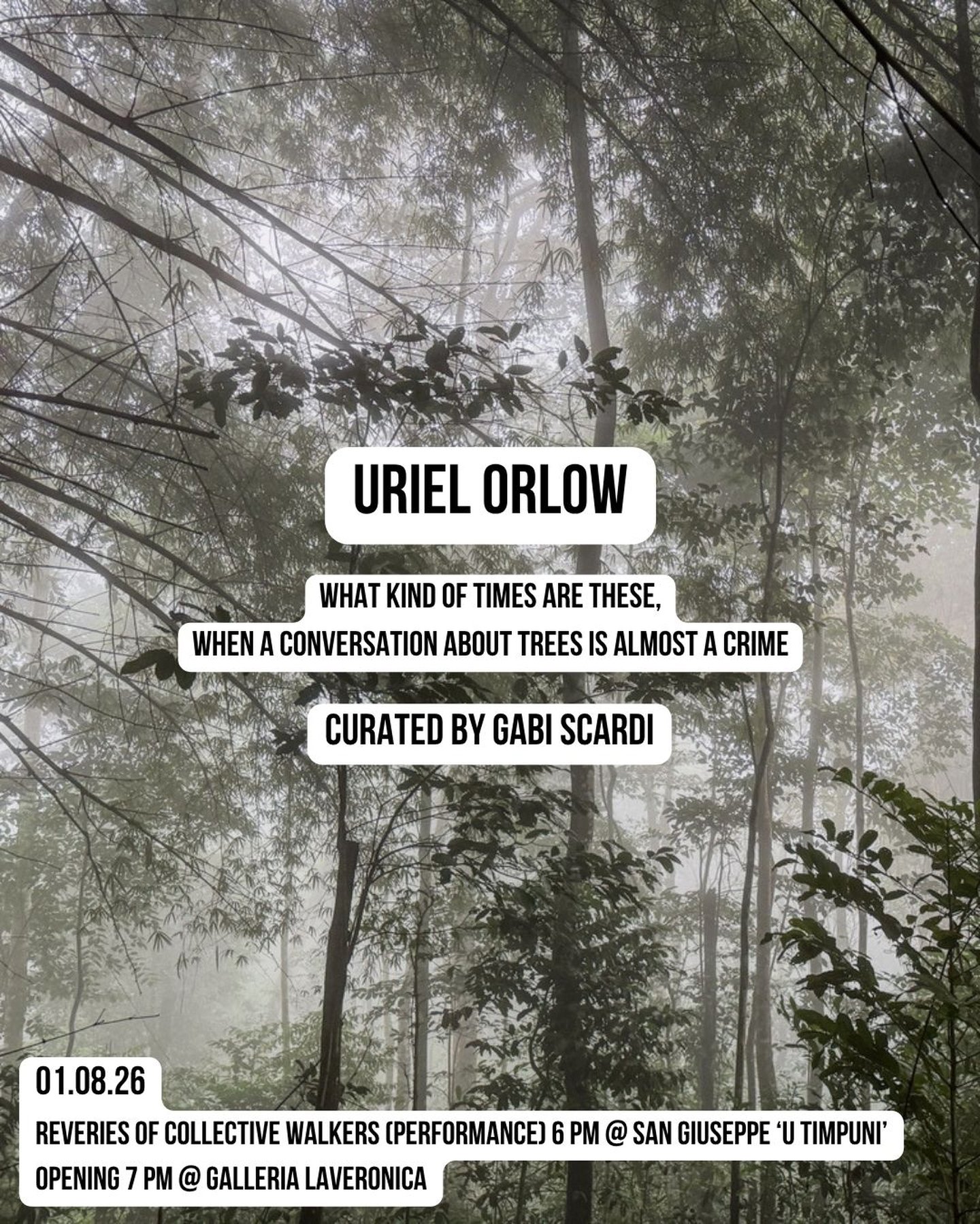 What kind of times are these, when a conversation about trees is almost a crime