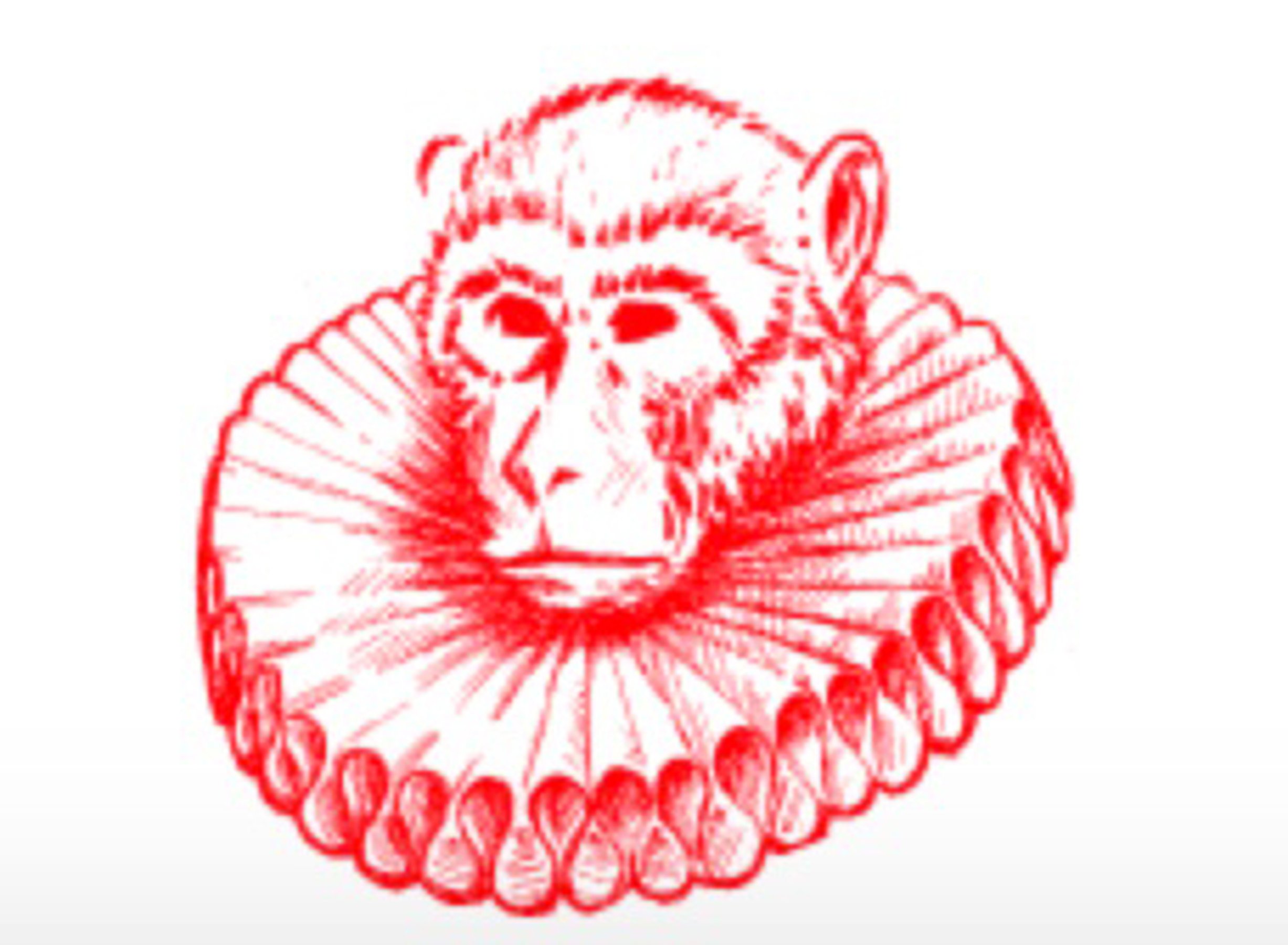 Monkey Town