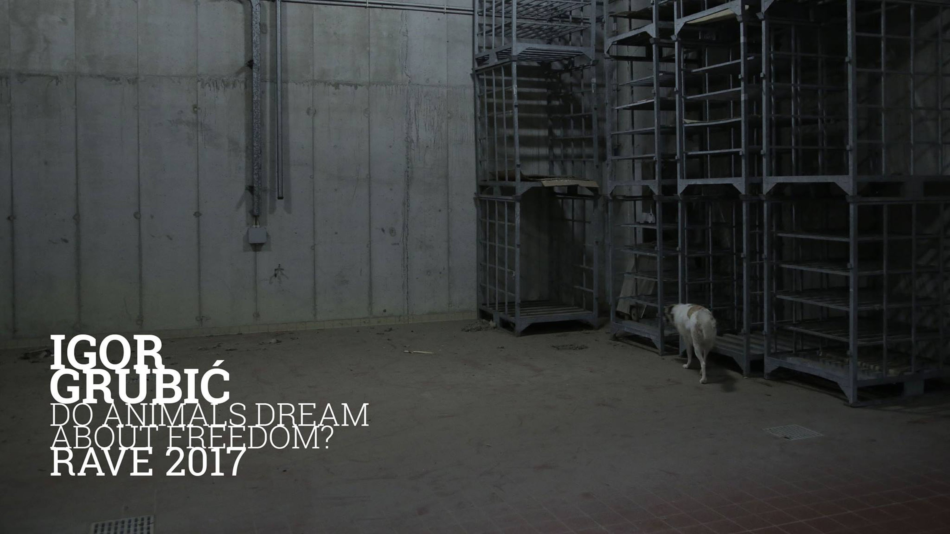 Do animals dream about freedom? Do animals dream about freedom?