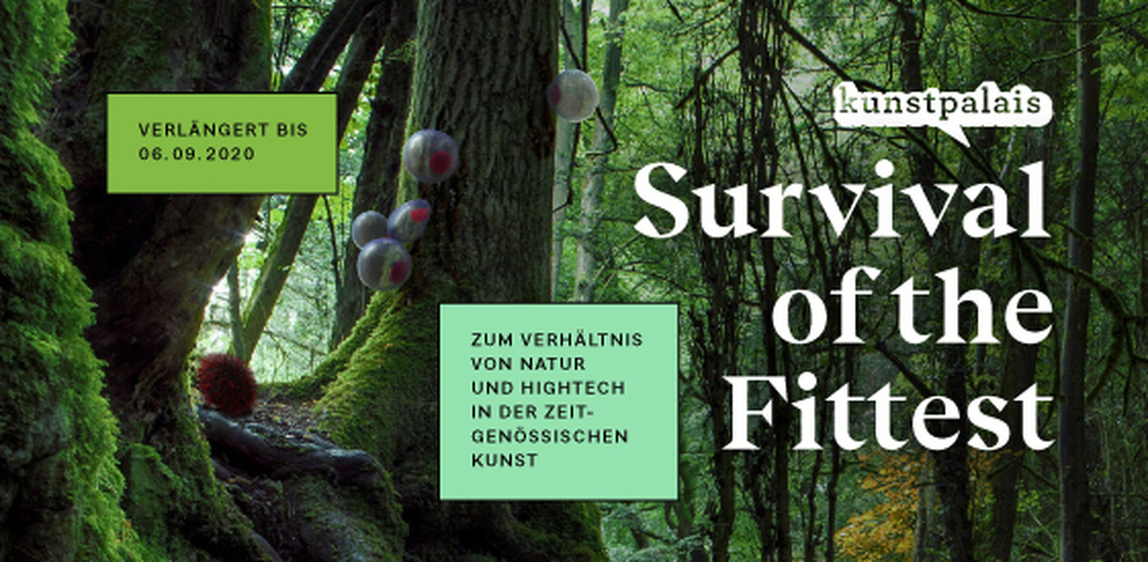 Survival of the Fittest