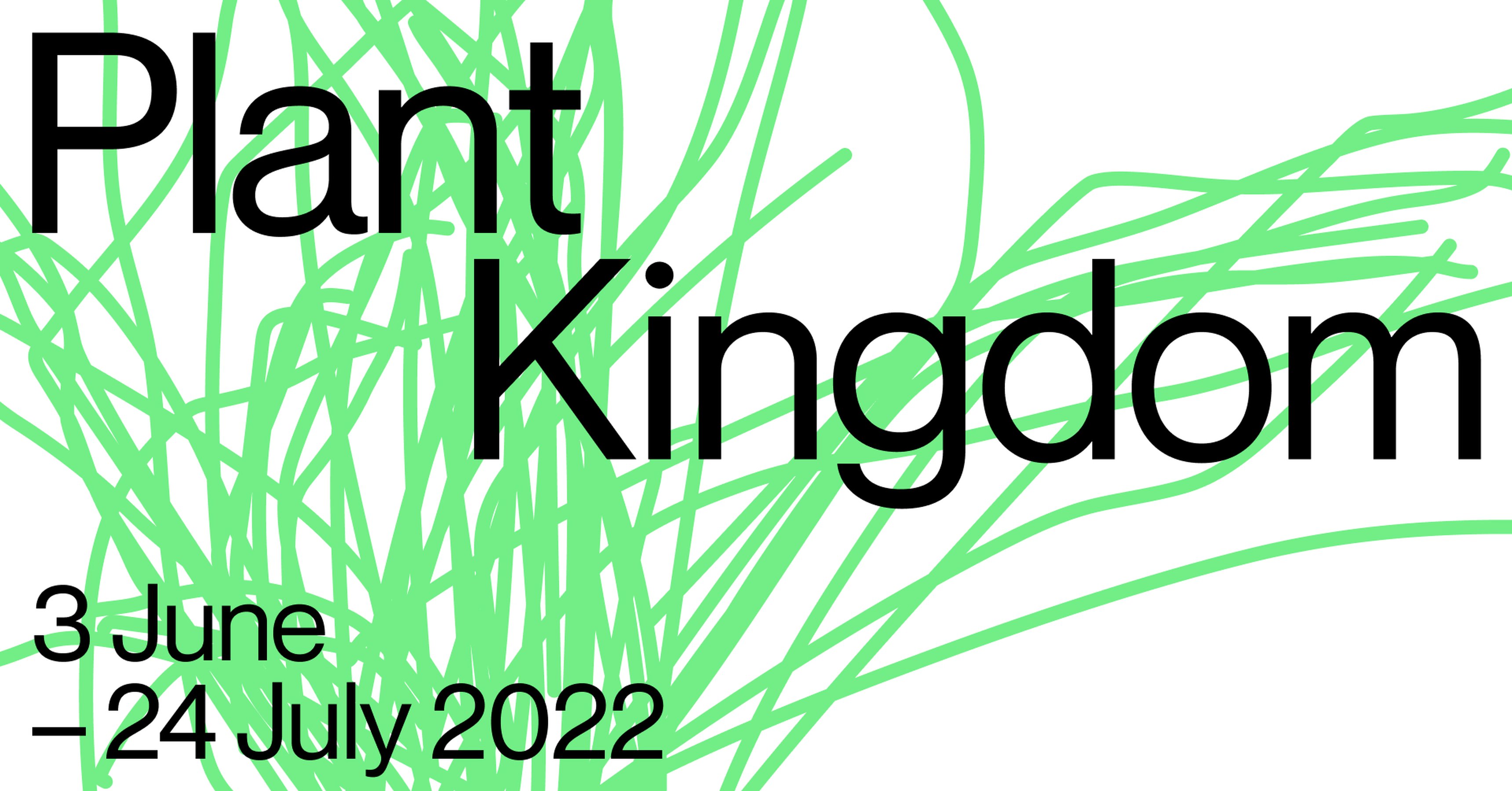 Plant Kingdom