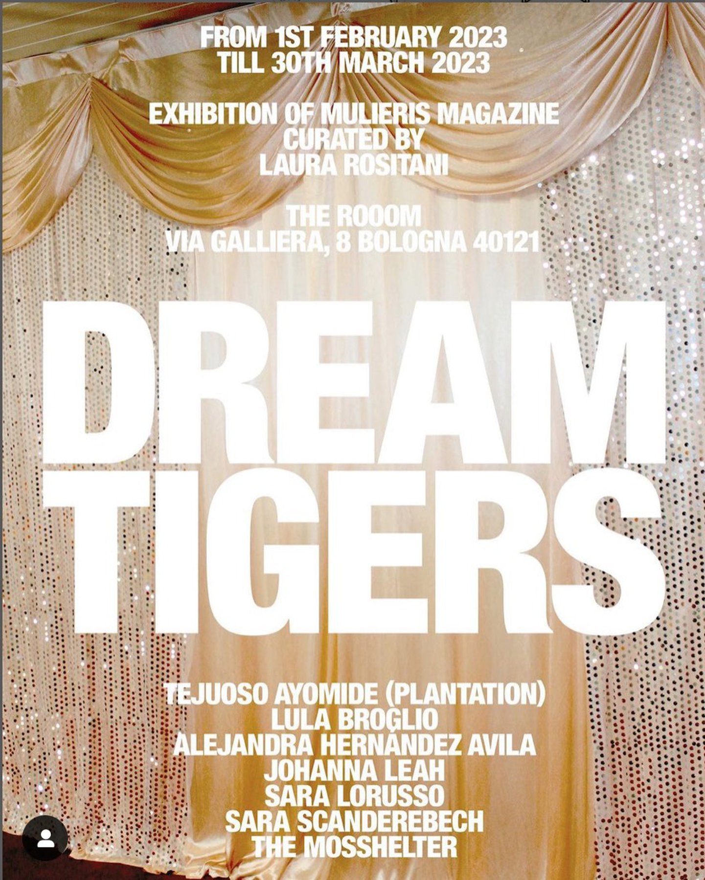 Dreamtigers