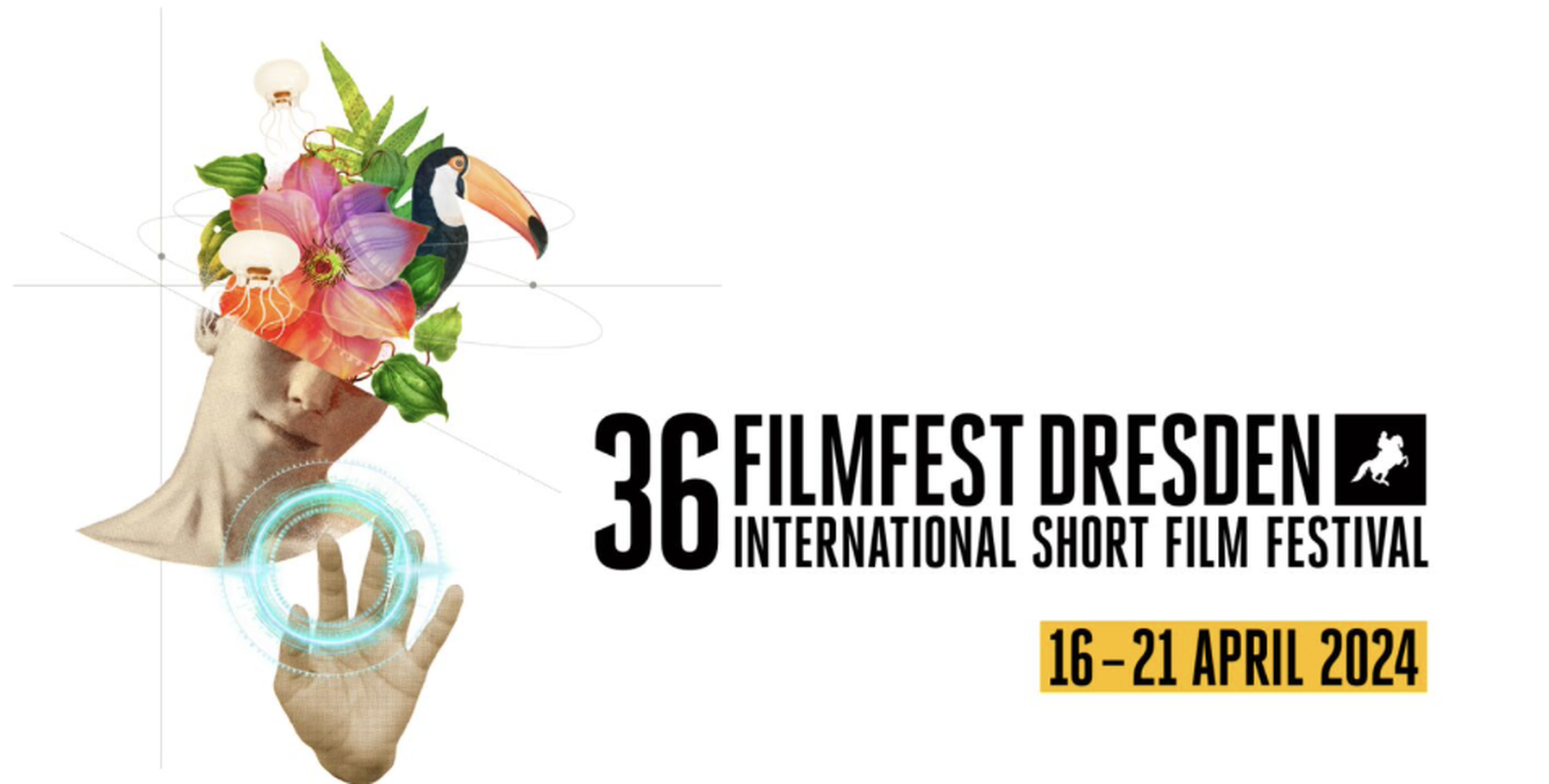 36 FILMFEST DRESDEN