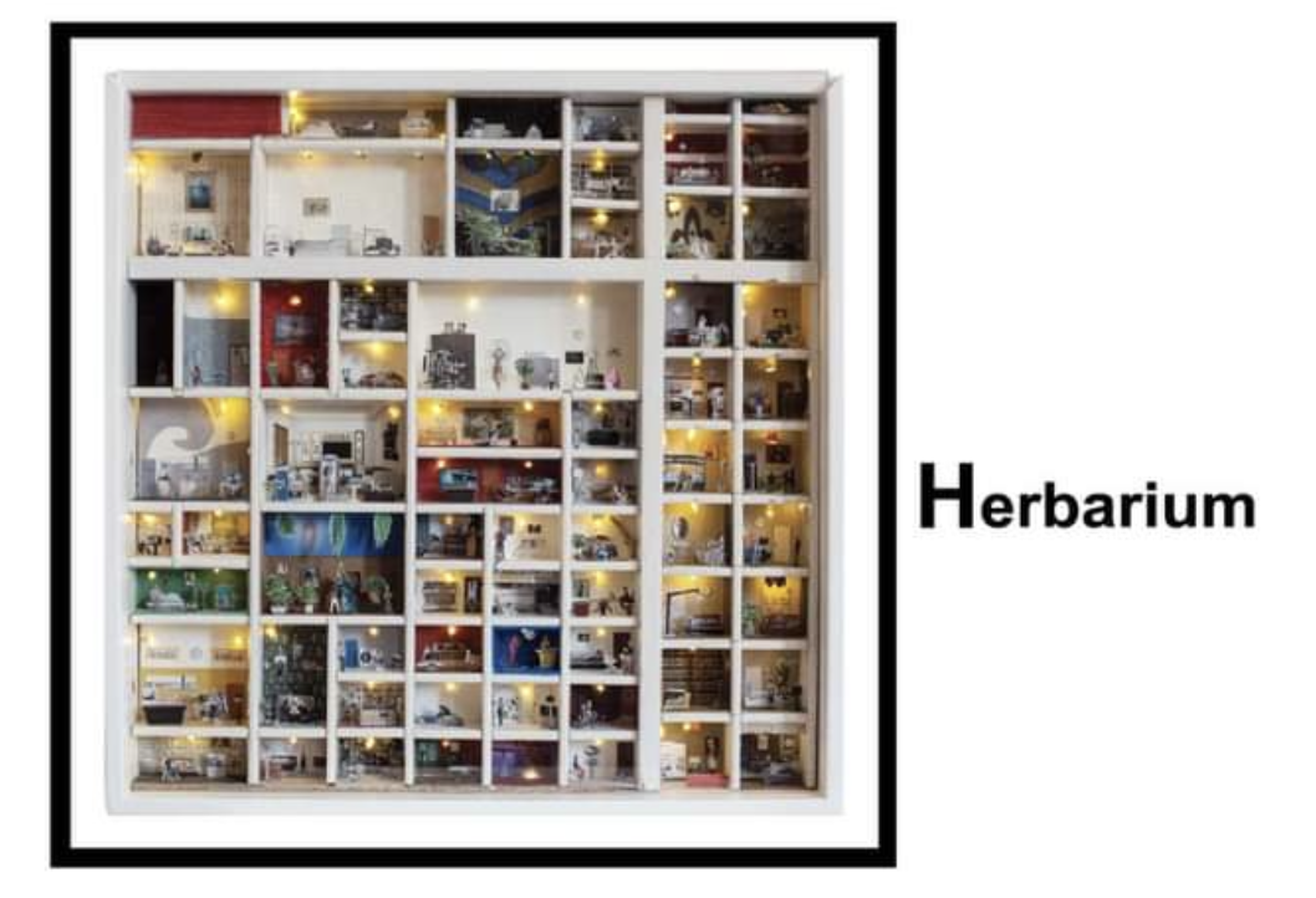 HERBARIUM 2024 HERBARIUM 2024
