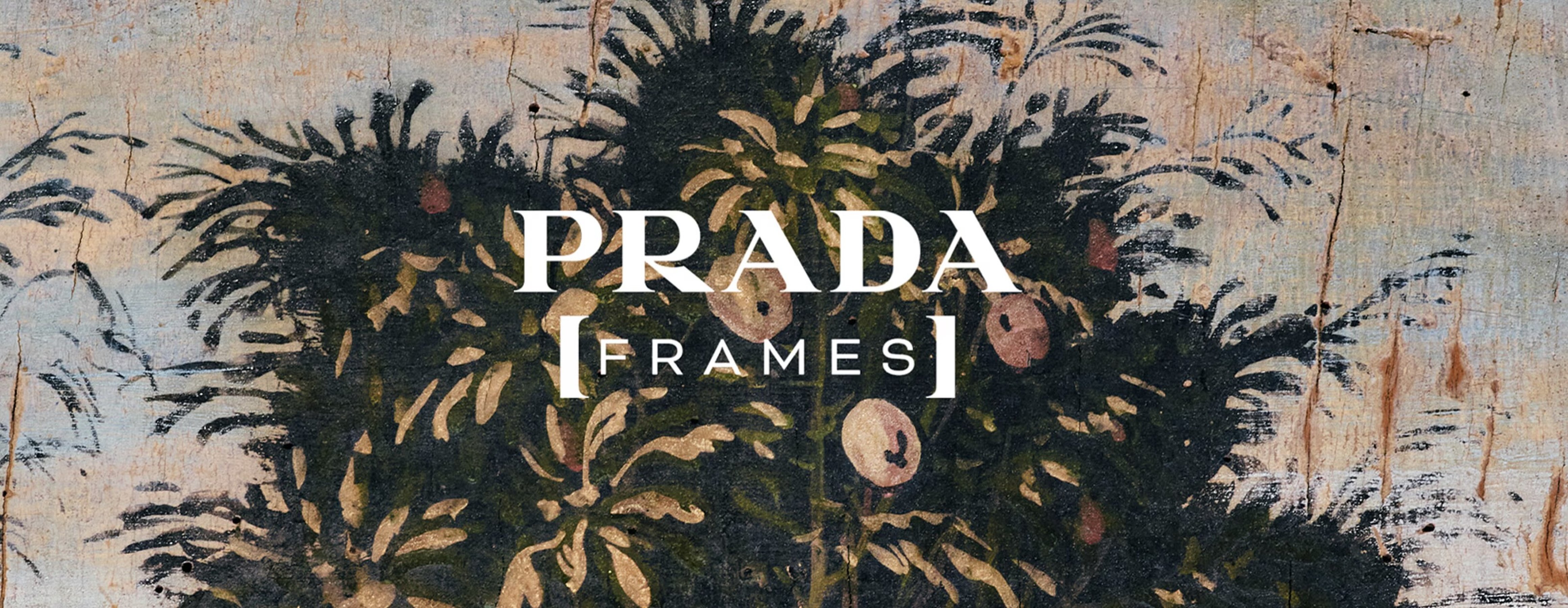 PRADA Frames In Sight